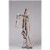 Image 8 : Rare Sioux fully beaded Headstall with beaded Martingale and Reins