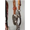 Image 4 : Mexican Bridle and Bit