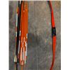 Image 3 : Bow & Arrows