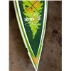 Image 2 : Rogue Paddle Board