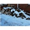 Image 1 : Firewood Pile
