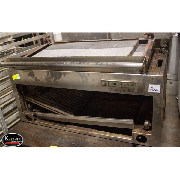 GARLAND SALAMANDER ** SOLD AS IS **