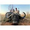 Image 1 : Trophy Cape Buffalo Hunt with Theron Safaris in South Africa