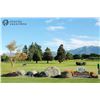 Image 5 : New Zealand Golf Vacation for Two with Avon Valley Lodge in Blenheim