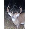 Image 3 : 2025 Special Nonresident Deer License