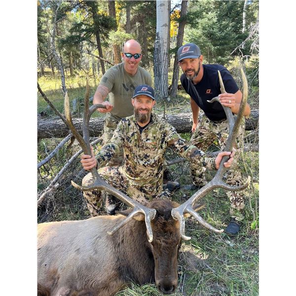 New Mexico Rifle Elk Hunt - Landowners Tag and Guided Hunt