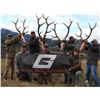 Image 2 : New Mexico Rifle Elk Hunt - Landowners Tag and Guided Hunt