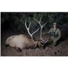 Image 3 : New Mexico Rifle Elk Hunt - Landowners Tag and Guided Hunt