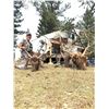 Image 4 : New Mexico Rifle Elk Hunt - Landowners Tag and Guided Hunt