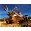 Image 7 : 5-Day Kansas Whitetail Hunt with Seth McGinn for 2- Midwest Whitetail Adventures
