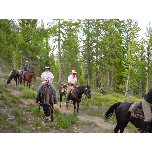 7-Day Idaho Summer Horseback Trip - Wind River Outfitters