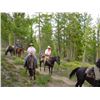 Image 1 : 7-Day Idaho Summer Horseback Trip - Wind River Outfitters