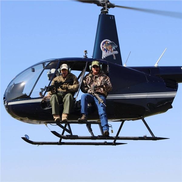 The HeliBacon Helicopter Hog Hunt