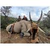 Image 2 : 8-Day Spiral Horned Slam African Safari for 1 Hunter -Worldwide Adventures