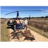Image 4 : The HeliBacon Helicopter Hog Hunt