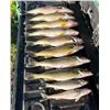 Image 5 : 3-Day North Dakota Fishing Trip for 2