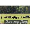 Image 1 : 3-Day All-Inclusive Texas Hog Hunt w/ Thermals