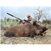 Image 2 : 3-Day All-Inclusive Texas Hog Hunt w/ Thermals