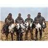 Image 4 : 4-Day North Dakota Waterfowl Hunt for 2