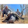 Image 3 : Trophy Cape Buffalo Hunt with Theron Safaris in South Africa