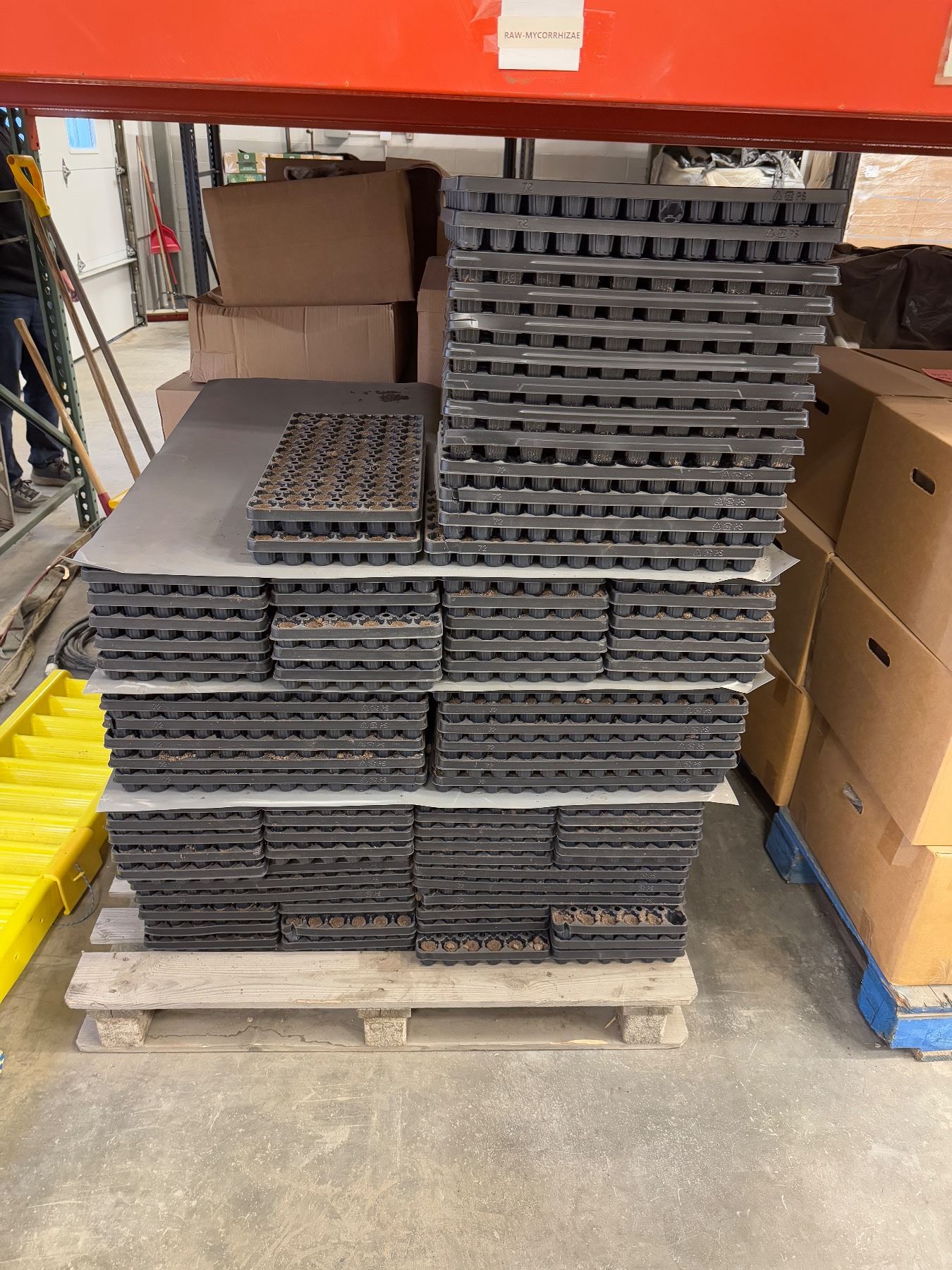 Pallet of easy grow tray 72 per