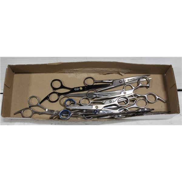 LOT OF 12 PROFESSIONAL STEEL HAIR CUTTING SCISSOR
