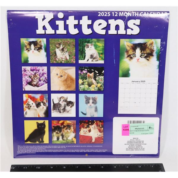 NEW 2025 12 MONTH KITTENS CALENDAR