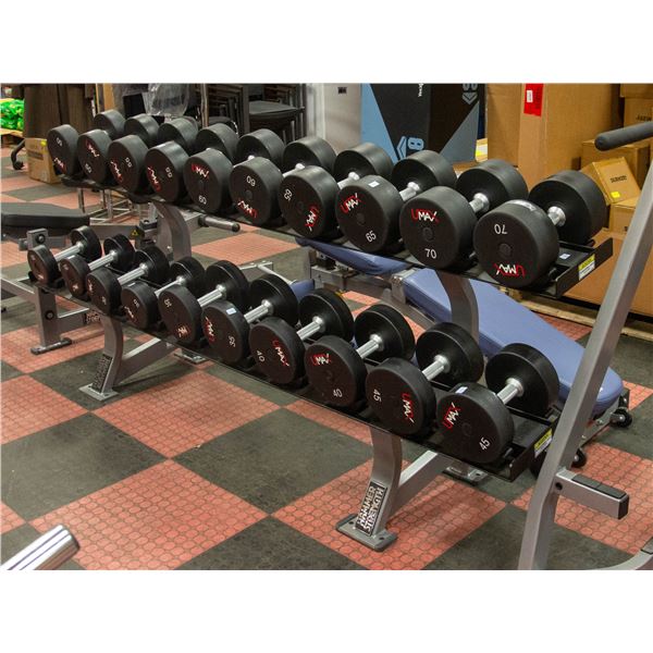 HAMMER STRENGTH DUMBBELL RACK HOLDS 20 DUMBBELLS