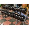 Image 1 : HAMMER STRENGTH DUMBBELL RACK HOLDS 20 DUMBBELLS