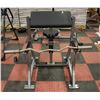 Image 2 : HAMMER STRENGTH PREACHER CURL BENCH HEIGHT