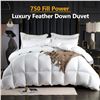 Image 2 : BRAND NEW LEYCAY TWIN DOWN LUXURY BED COMFORTER