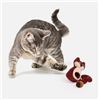 Image 1 : BRAND NEW SILVER PAW CATNIP SQUIRREL AND NUT CAT