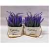 Image 1 : SET OF TWO ARTIFICIAL LAVENDER IN WOODEN POTS