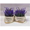 Image 1 : SET OF TWO ARTIFICIAL LAVENDERS IN WOODEN POTS