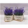 Image 1 : SET OF TWO ARTIFICIAL LAVENDER IN WOODEN POTS