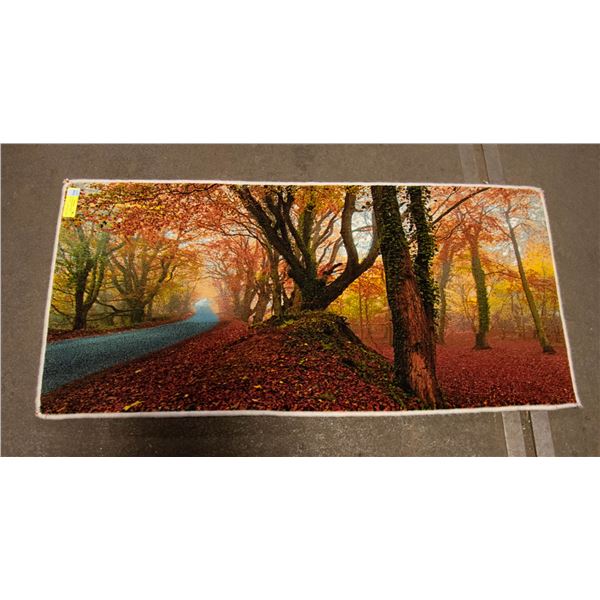 FREIGHT CLAIM CARPET/RUG APPROX 20" X 40"