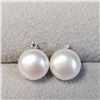 Image 1 : 14K White Gold Fresh Water Pearl Diamond(0.02ct) Earrings, Suggested Retail Value $300 (Estimated Se
