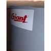 Image 4 : Giant 40,000-BTU 40-Gal Atmospheric Vent Natural Gas Water Heater