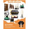 Image 1 : Online Auction
