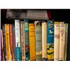 Image 2 : Book Lot