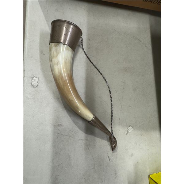 Viking horn