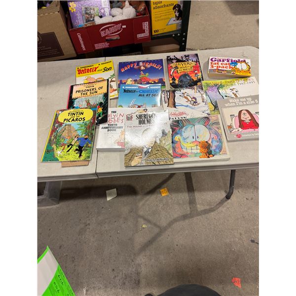 Asterix, Garfield, Calvin and Hobbs, cathy , etc. books