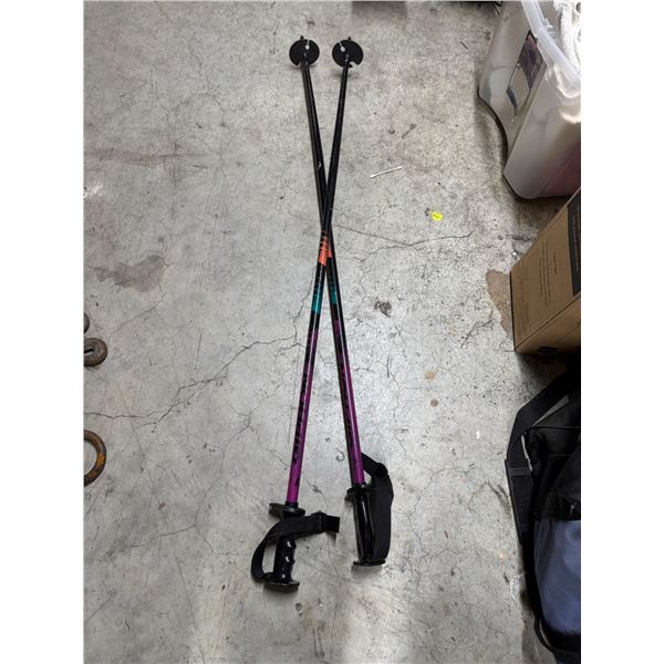 Ski poles