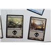 Image 10 : Magic the Gathering Trading Cards