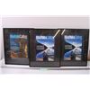 (3) Manitoba Calling Magazines - 2002 Editions in Frames - 13" x 16"