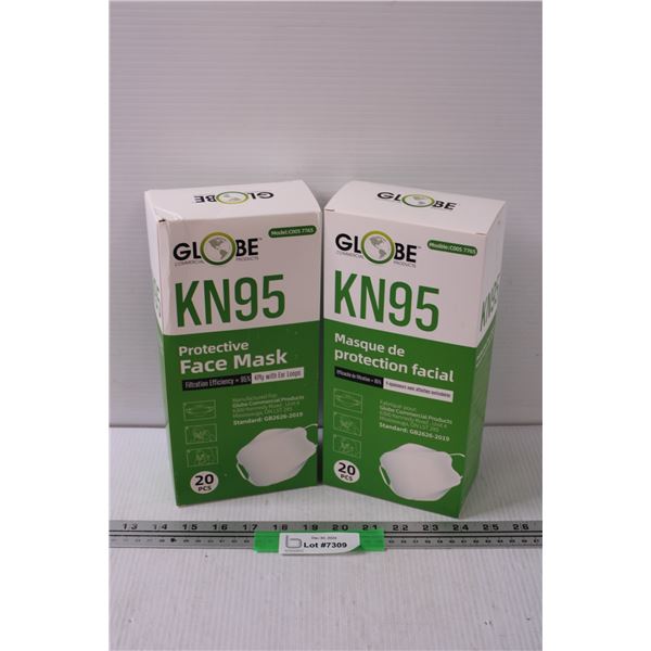 (2) N95 Masks in Boxes