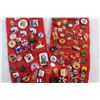 Image 5 : Scarf and Assorted Pins