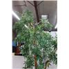 Image 3 : * Tropical Faux Tree - 84" Tall