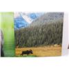 Image 3 : (3) Wildlife Pictures on Canvas: Moose & Bear - 16" x 16"