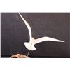Image 5 : John Perry Driftwood & Sea Bird Figurine - 9" x 16"